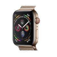 Apple Watch 5 on Rent