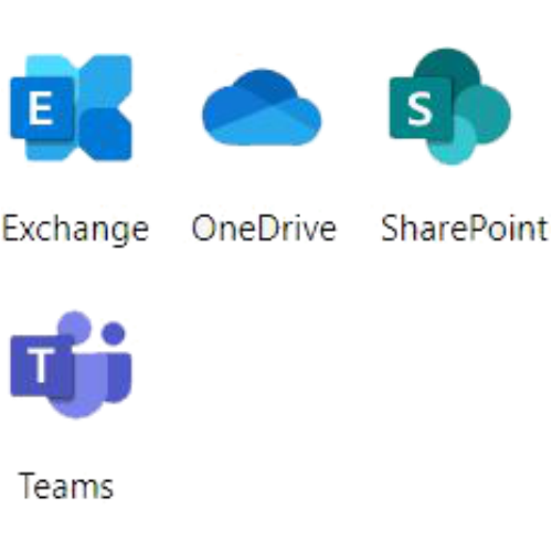 MS Office 365 Monthly Subscription